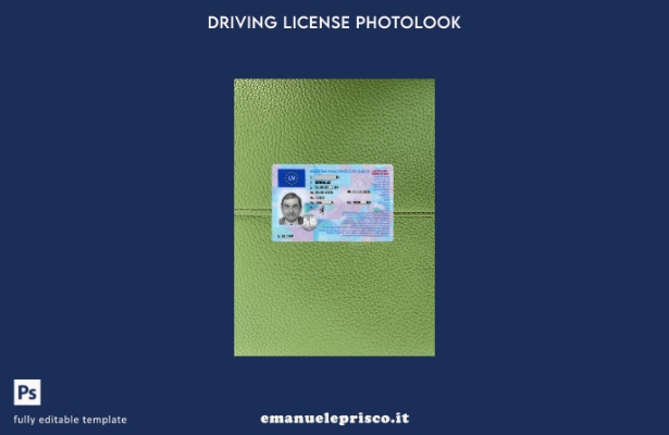 stile verificato modello frontale photolook della patente di guida della Lettoni